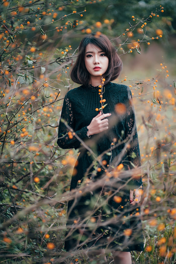 枫与铃动漫在线观看